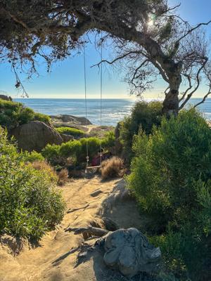 Sd Sunset Cliffs Natural Park Wing